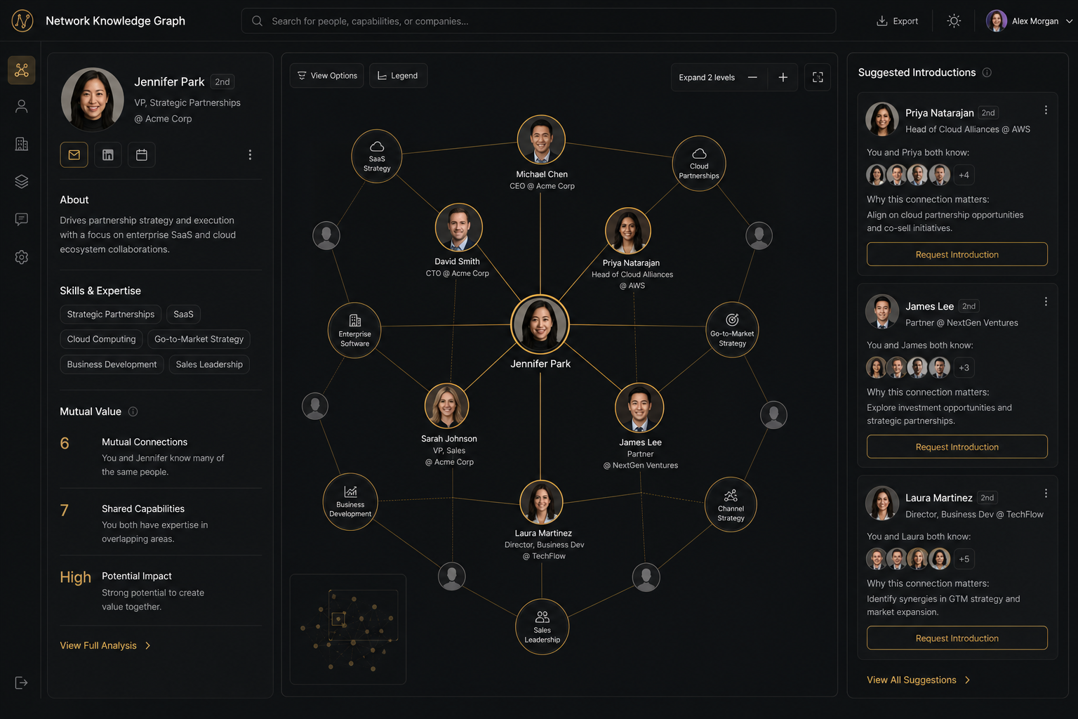 Gelosh Network project visual